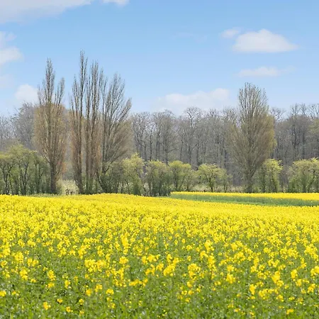 アパート 2 Bedroom Awesome In Vejstrup