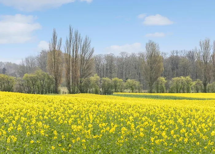 Lägenhet 2 Bedroom Awesome In Vejstrup